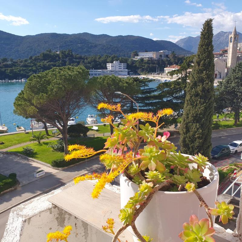 VJEKA HOME Images