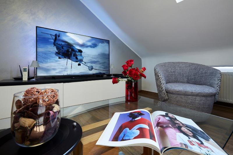 One-Bedroom Apartment image 4