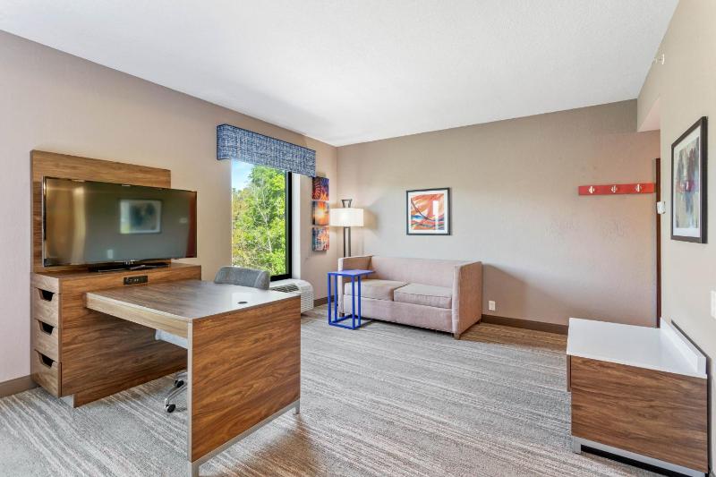 King Studio Suite with Sofa Bed - Non-Smoking image 3