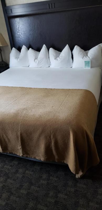 Deluxe Single Room image 4