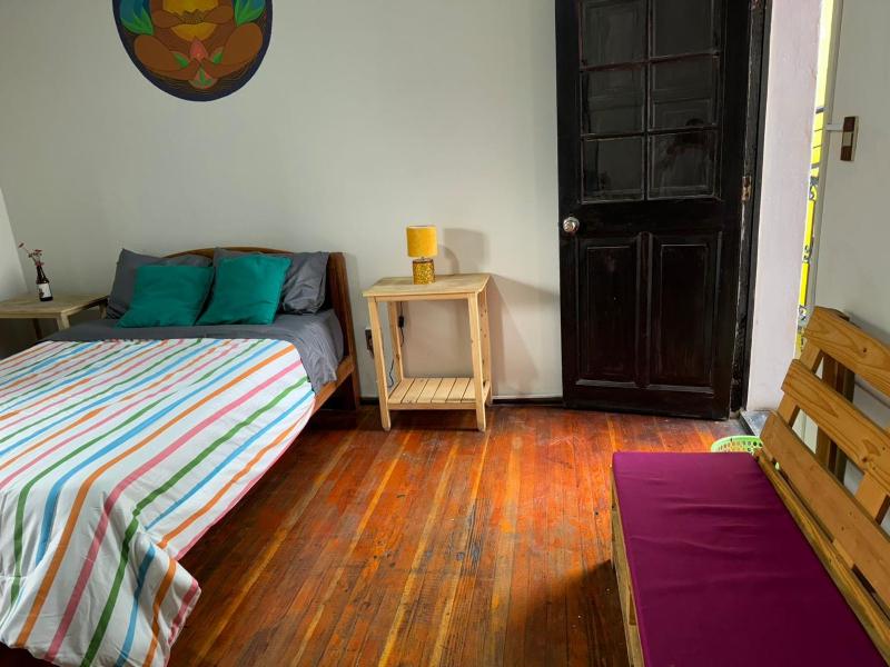 Maison Verte - Budget Edition - image 10