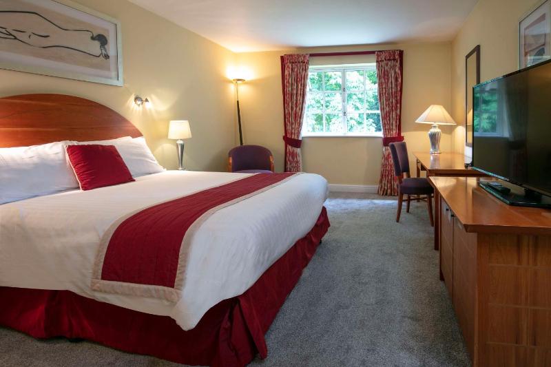 Superior Double Room image 3
