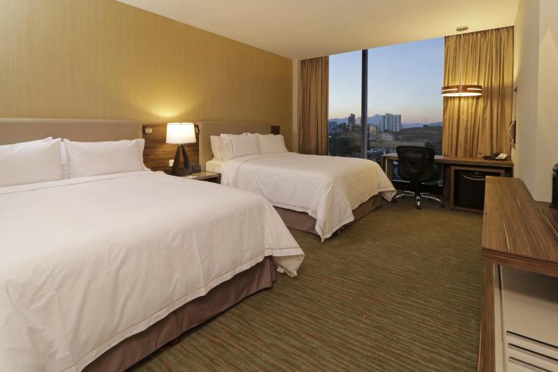 Holiday Inn Express & Suites Monterrey Valle By IHG - image 42