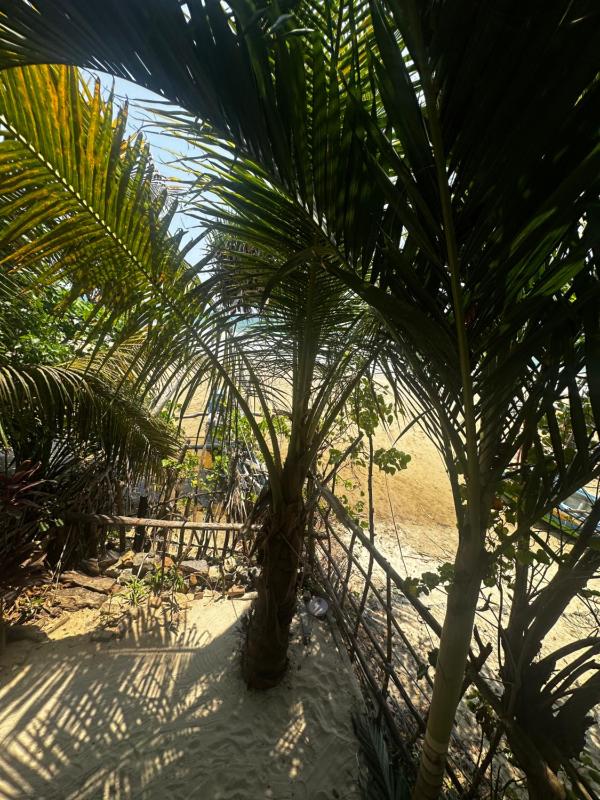Varan Mawella Beach Guest House - image 40