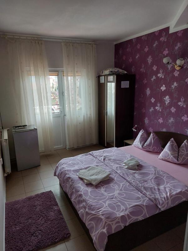 Vila Alexandru - image 13