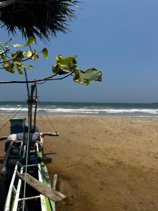 Varan Mawella Beach Guest House - image 34