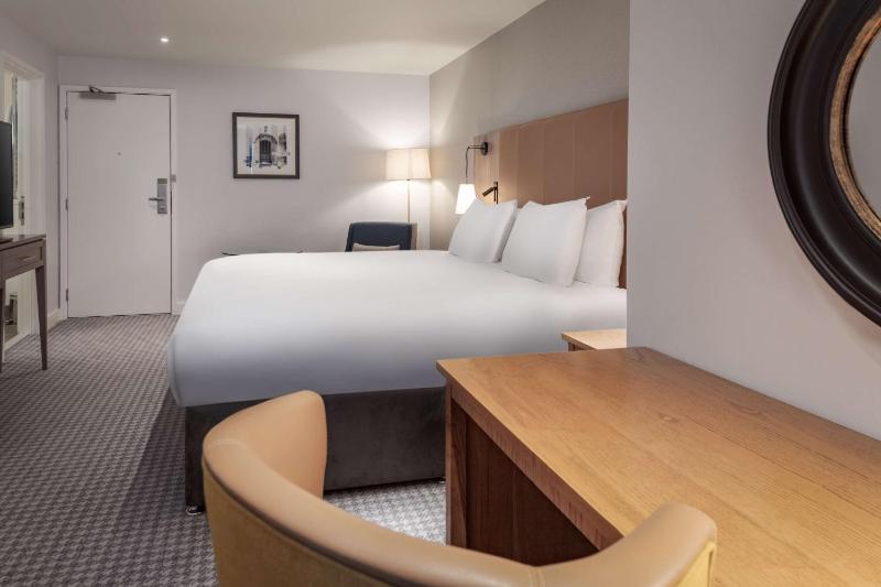 Deluxe King Room image 3