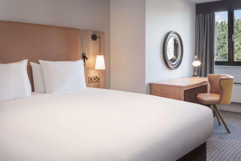 Deluxe King Room image 2