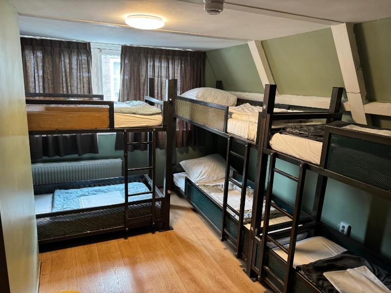 Bed in 8-Bed Mixed Dormitory Room image 1