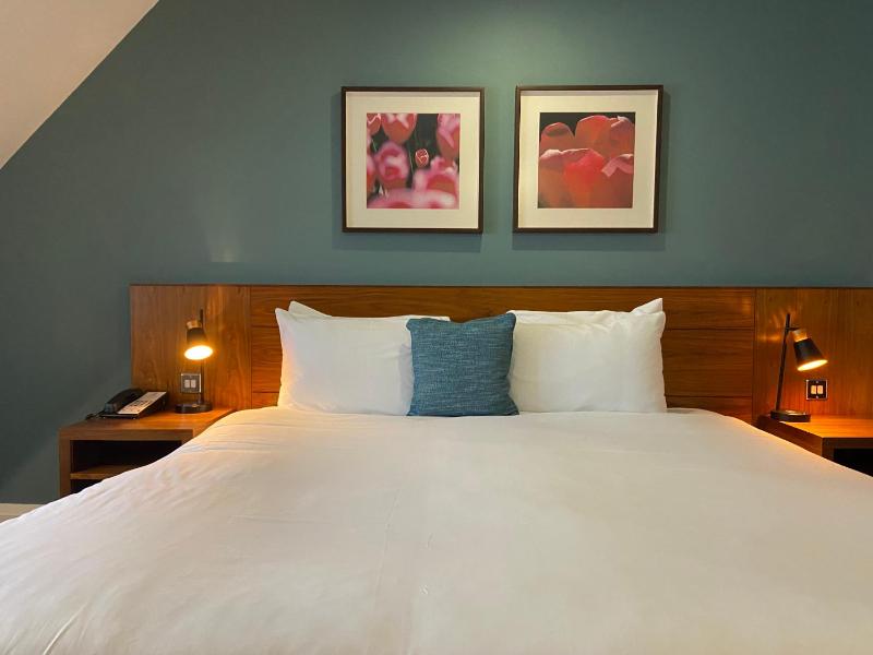 Standard Double Room image 2