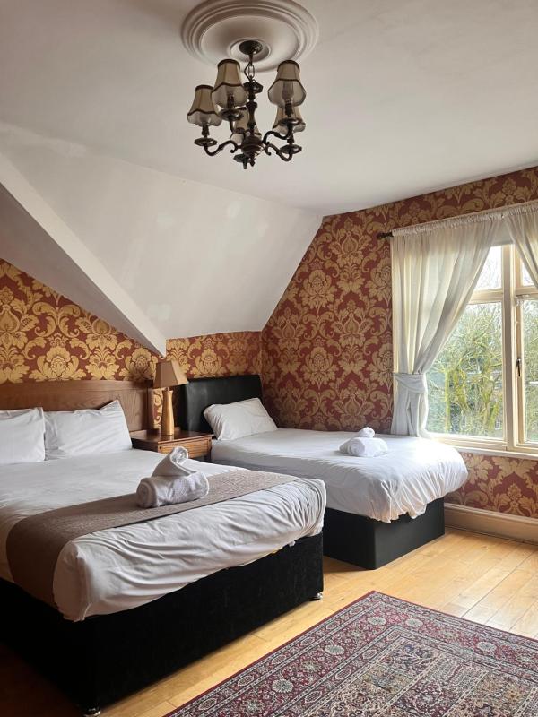 Twin Suite image 1
