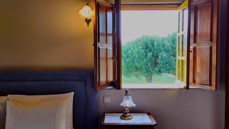 Classic Double Room image 1