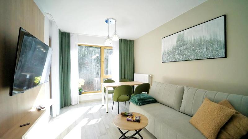Apartamenty Every Sky Szklarska Poręba - Kilińskiego 17A-17B-17C - image 42