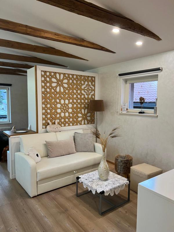 Duplex Apartment image 2