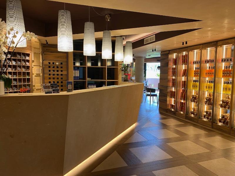 Alevic Hotel Sirmione - image 43