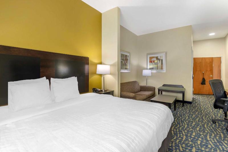 King Room with Roll-In Shower - Disability Access image 3