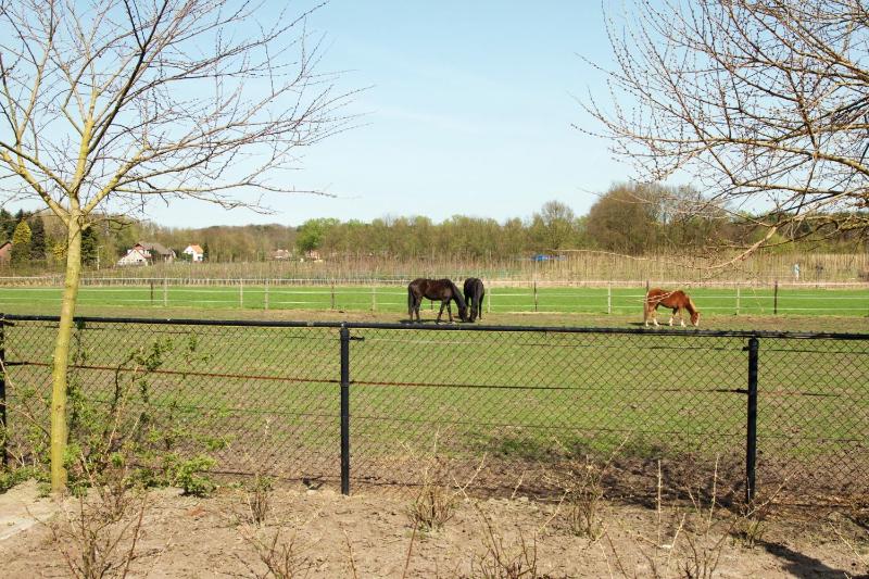 Studio with Terrace image 2
