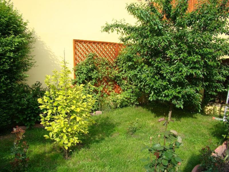 Pensiunea Magnolia - image 45
