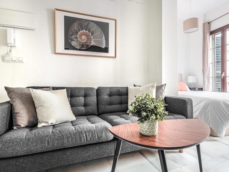 Bonito estudio en calle Fería - image 15