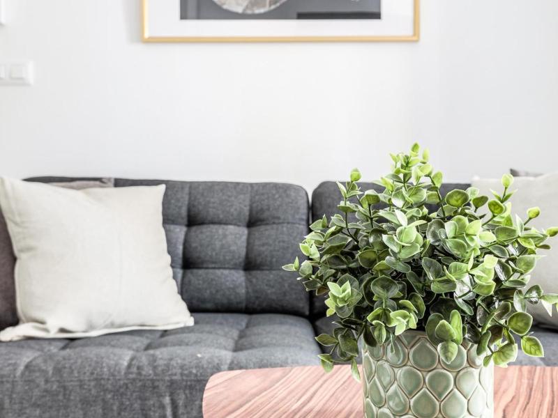 Bonito estudio en calle Fería - image 11