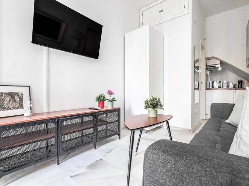 Bonito estudio en calle Fería - image 14