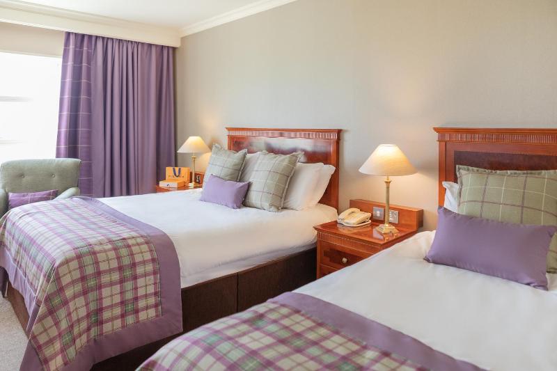Deluxe Double Room with Single Bed image 4