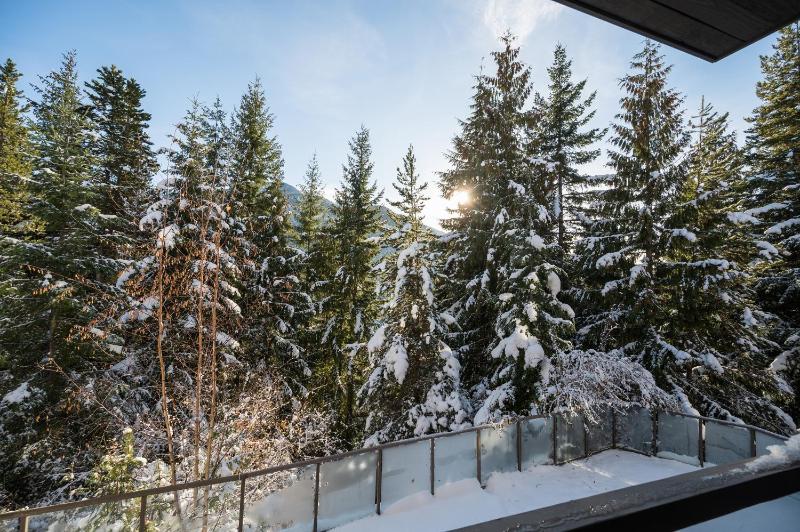 2BR in Greyhawk Hot Tub and Sauna Gas Fireplace Secure Parking - image 21