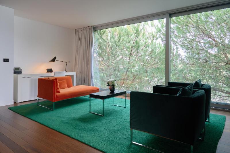 Suite with River View image 4