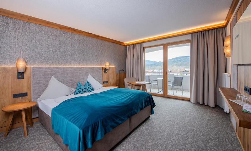 Deluxe Double or Twin Room image 2