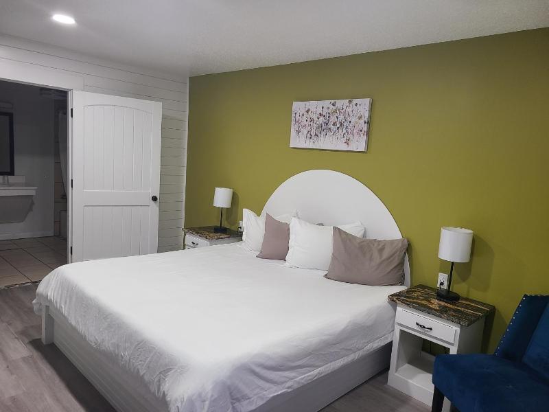 Queen Room - Disability Access image 1