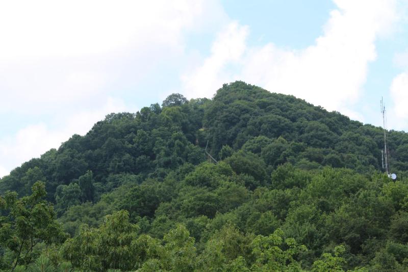 Higher Altitude - image 6