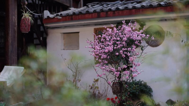 Tuo Tuo Guest House - image 50