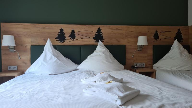 Double or Twin Room image 1