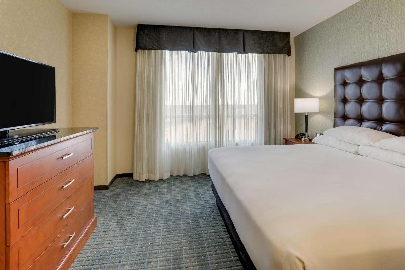 Deluxe King Suite image 4