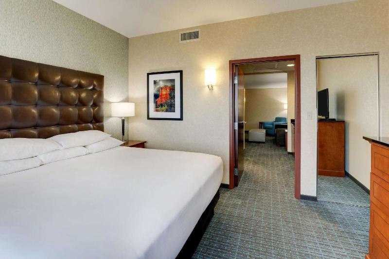 Deluxe King Suite image 3