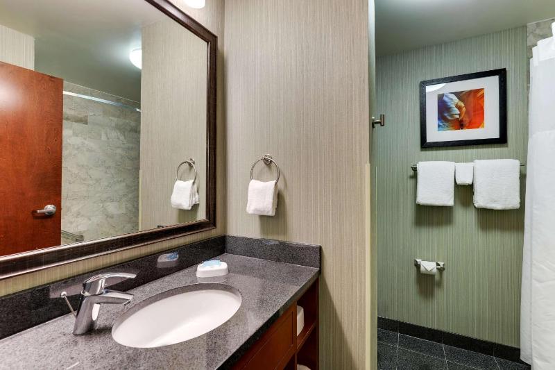 Deluxe King Suite image 2