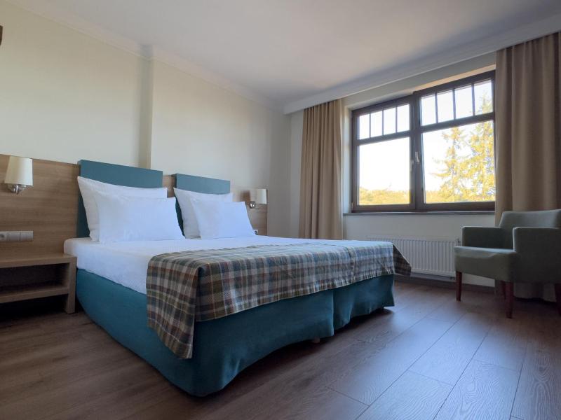 Superior Double Room image 1