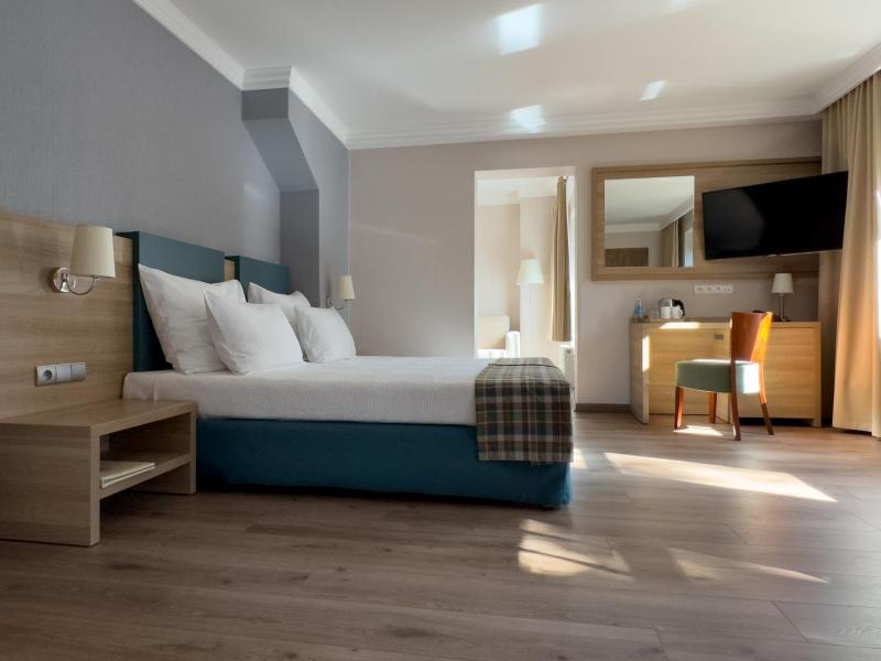Superior Double Room image 4