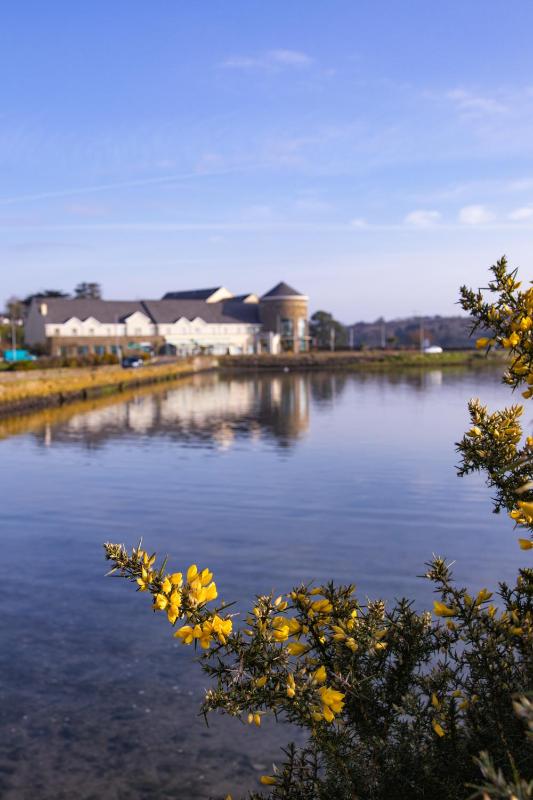 Celtic Ross Hotel & Leisure Centre - image 13