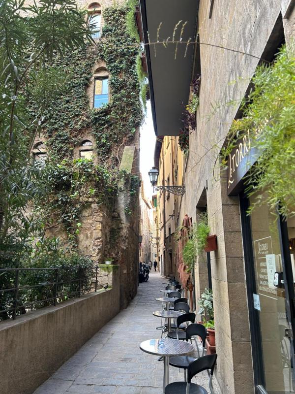 Borgo San Jacopo 8 - image 6