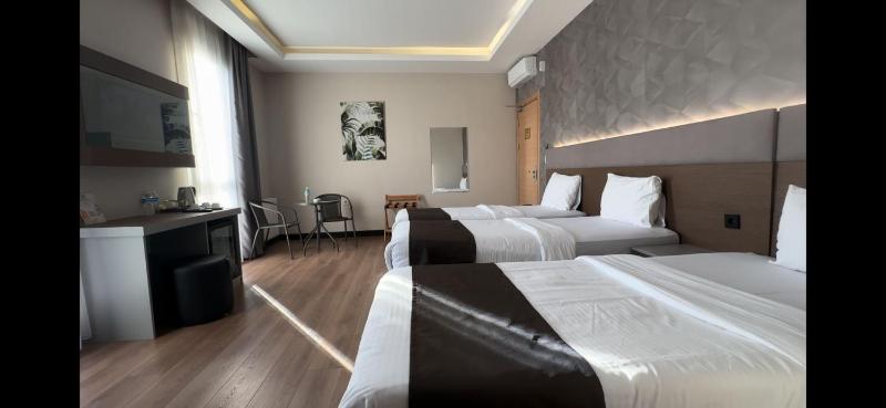 Deluxe Twin Room image 3