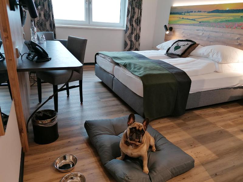 Superior Double Room image 3