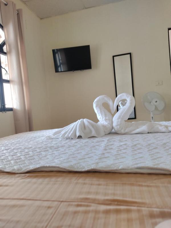 Blue Moon Hostel - image 2