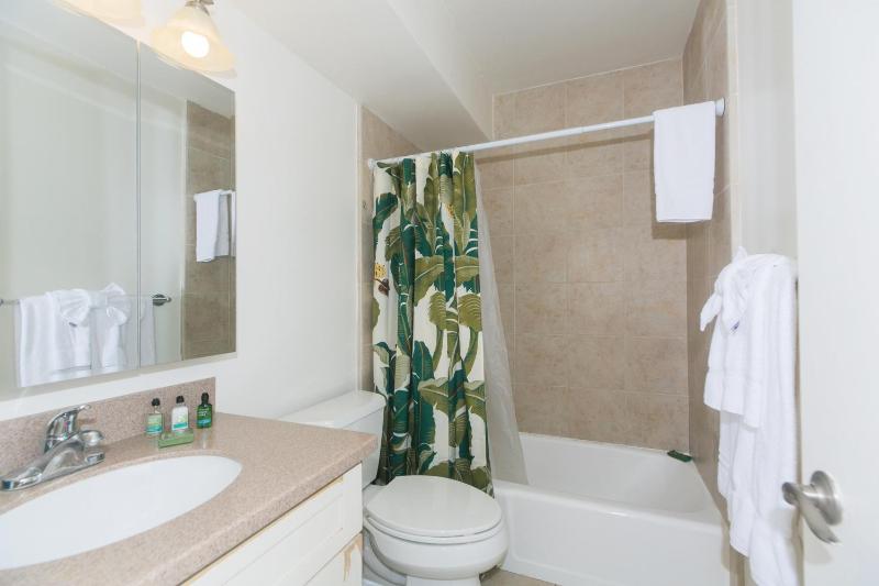 Deluxe Apartment image 4