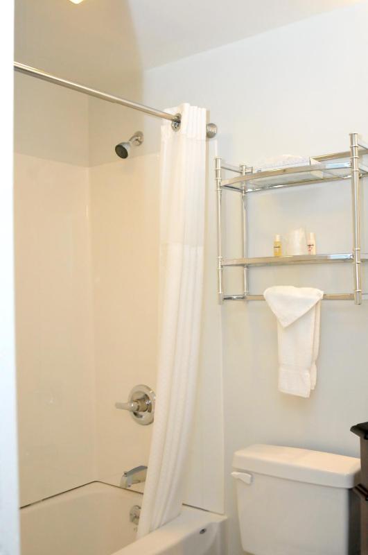 Studio with King Bed & Full Kitchen image 3