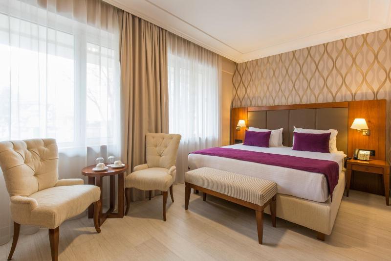 Superior Double Room  image 1