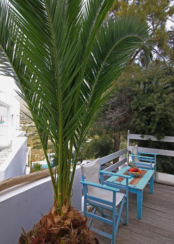 Studio with Garden View image 2