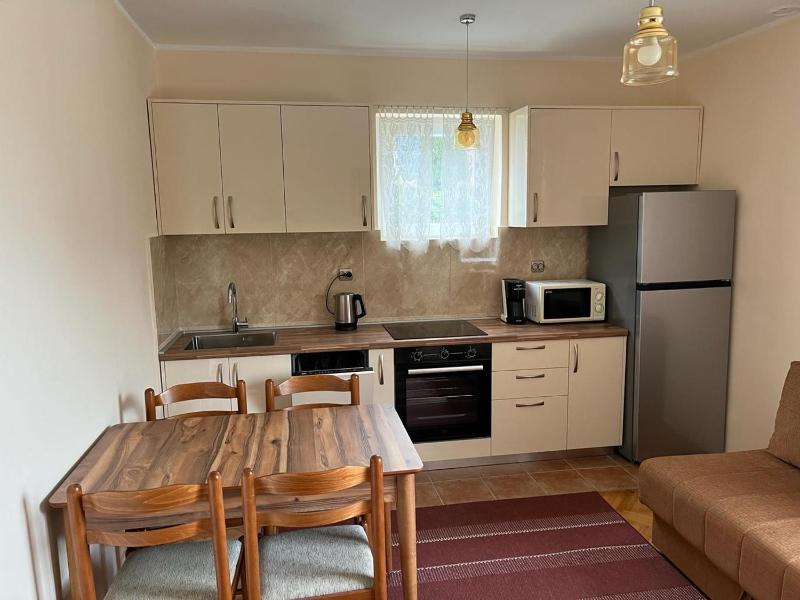 One-Bedroom Apartment image 2