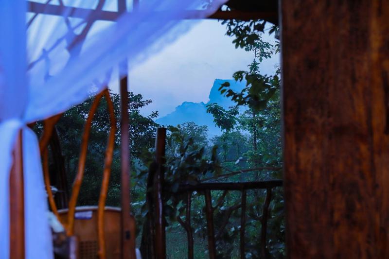 Sigiriya Rock Gate Tree House - image 12