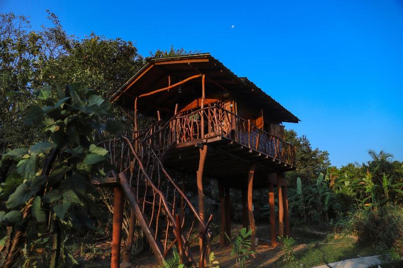 Sigiriya Rock Gate Tree House - image 6